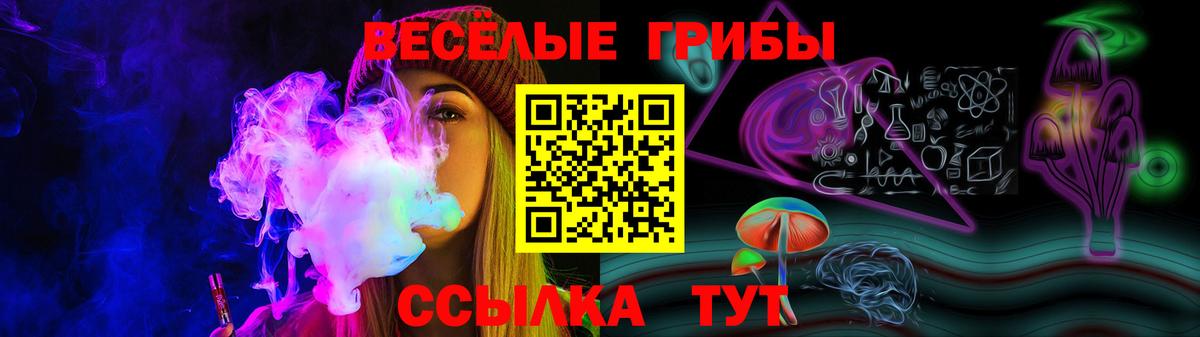 Галлюциногенные грибы GOLDEN TEACHER Владимир